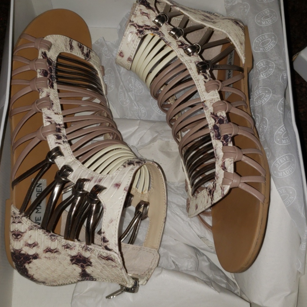 Shoes Steve madden